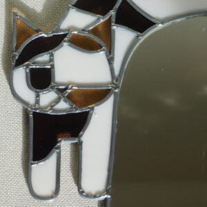 Spok the cat mirror